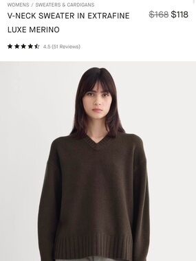 Everlane V-Neck Sweater in Extrafine Luxe Merino Wool - color Coffee Bean